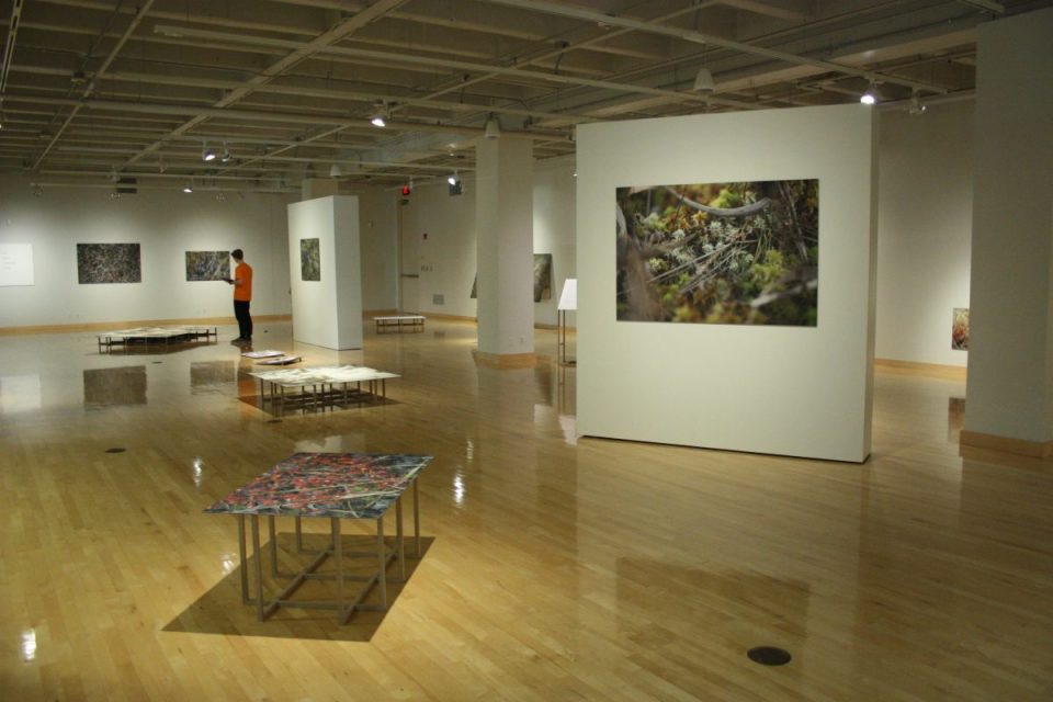 I Want to Show You Something, Installation