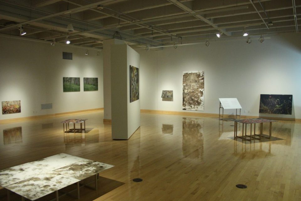 I Want to Show You Something, Installation