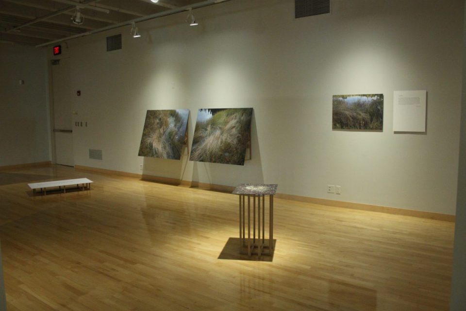 I Want to Show You Something, Installation